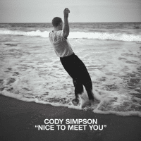 แปลเพลง Nice To Meet You - Cody Simpson เนื้อเพลง