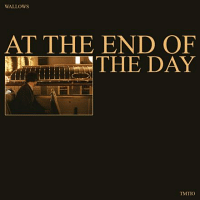 แปลเพลง At the End of the Day - Wallows เนื้อเพลง