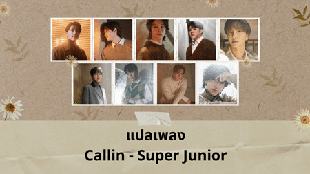 แปลเพลง Callin - Super Junior