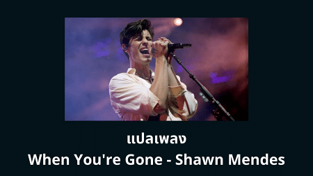 แปลเพลง When You're Gone - Shawn Mendes