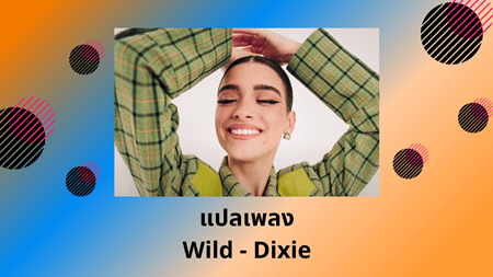 แปลเพลง Wild - Dixie