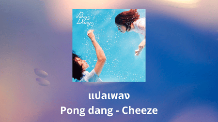 แปลเพลง Pong dang - Cheeze