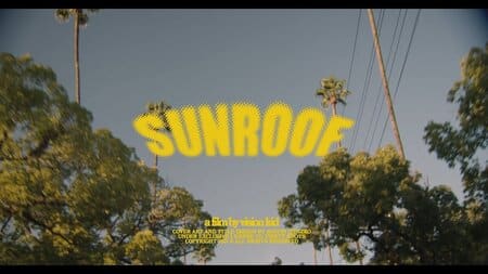 แปลเพลง Sunroof - Nicky Youre and Dazy
